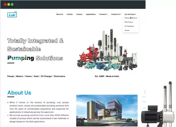 Revitalizing Operations through Custom CRM: Lubi Pumps' Success Story with Biztech