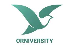 Enhanced User Engagement Through an Interactive Mobile Application for Orniversity